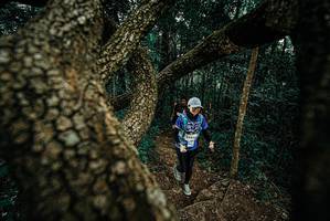 BIB: 
                            <button type="button" onclick="openModal(25696502)" class="btn btn-primary btn-sm float-right btn-popup" data-toggle="modal" data-target=".modal-high-quality">
                        <i class="fas fa-shopping-cart"></i> Add to Cart
                    </button>
                                            <button type="button" onclick="isThisMe(25696502, true)" class="btn btn-success btn-sm float-right btn-popup btn-isme hidden" data-toggle="tooltip" data-placement="bottom" title="นี่คือรูปของคุณใช่ไหม คลิกที่นี่เพื่อเอาเข้าอัลบั้ม">
                        <i class="fas fa-plus"></i> Add to album
                    </button>
                    <button type="button" onclick="isThisMe(25696502, false)" class="btn btn-warning btn-sm float-right btn-popup btn-isnotme hidden">
                        <i class="fas fa-ban"></i> Remove from album
                    </button>